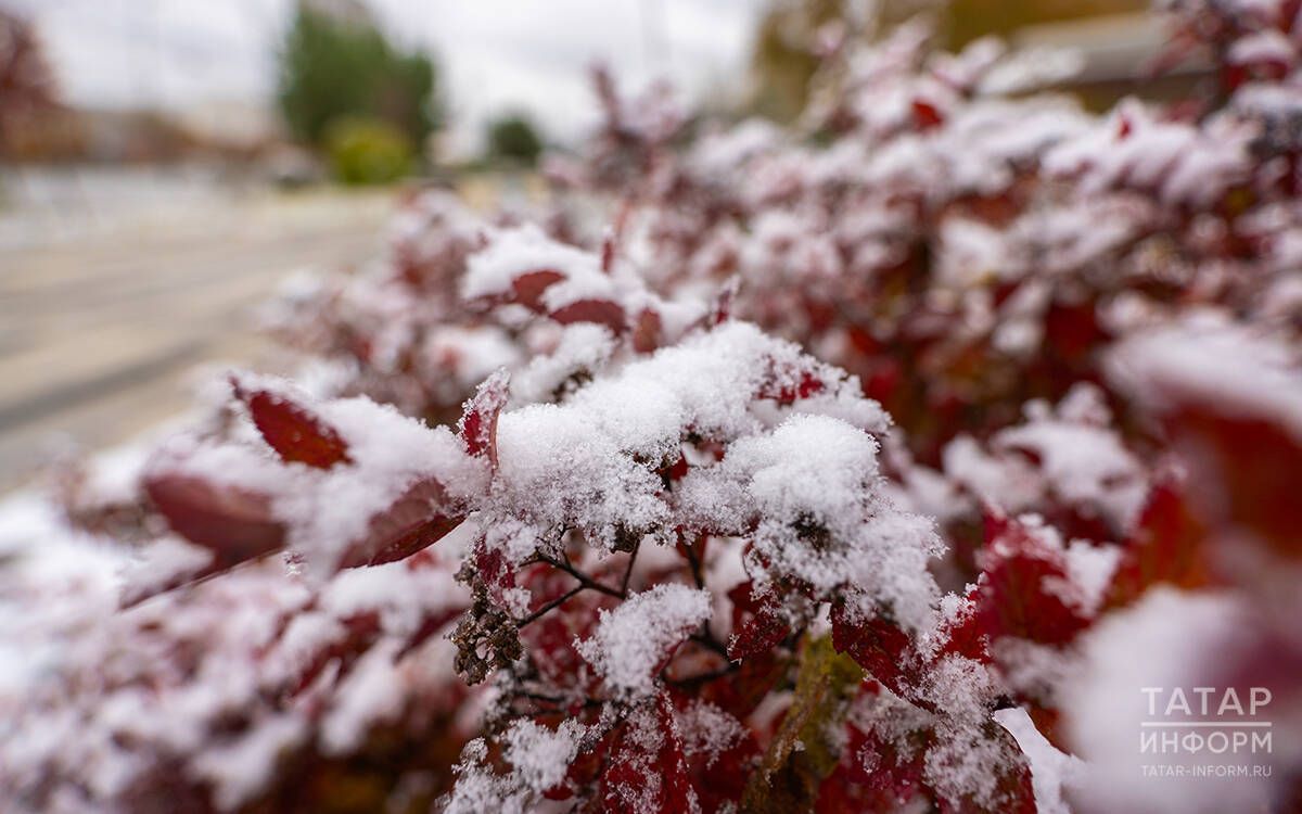 В Татарстане могут запустить «Зиму в Татарстане» после успеха летней программы