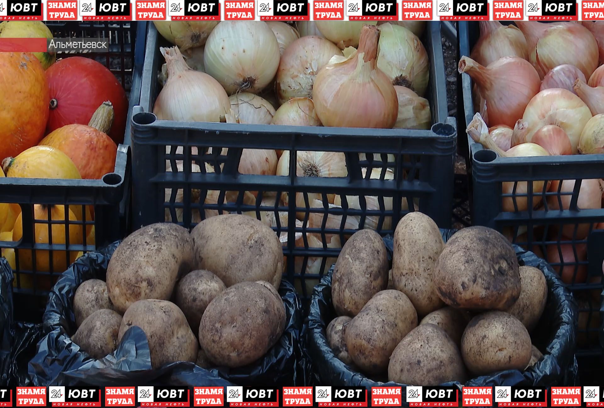 В Татарстане снизилась стоимость картофеля