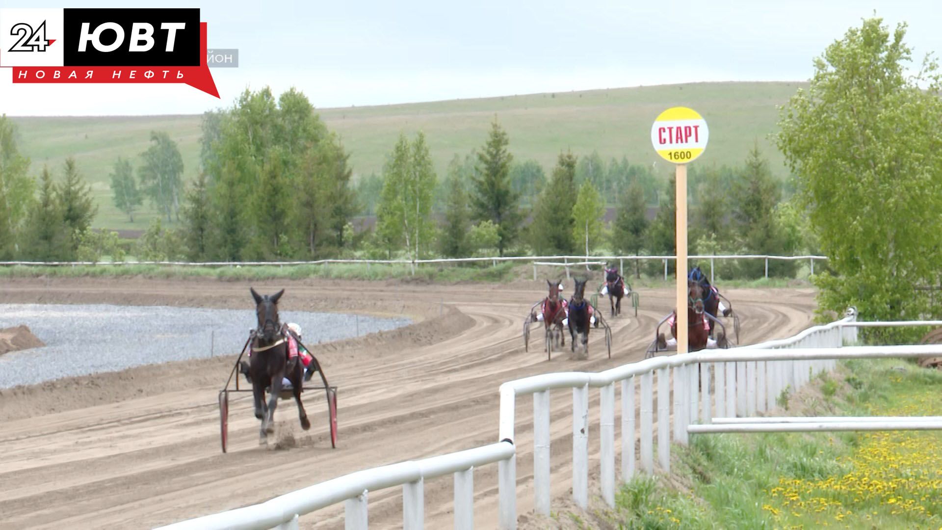 В Альметьевском районе пройдет закрытие сезона скачек