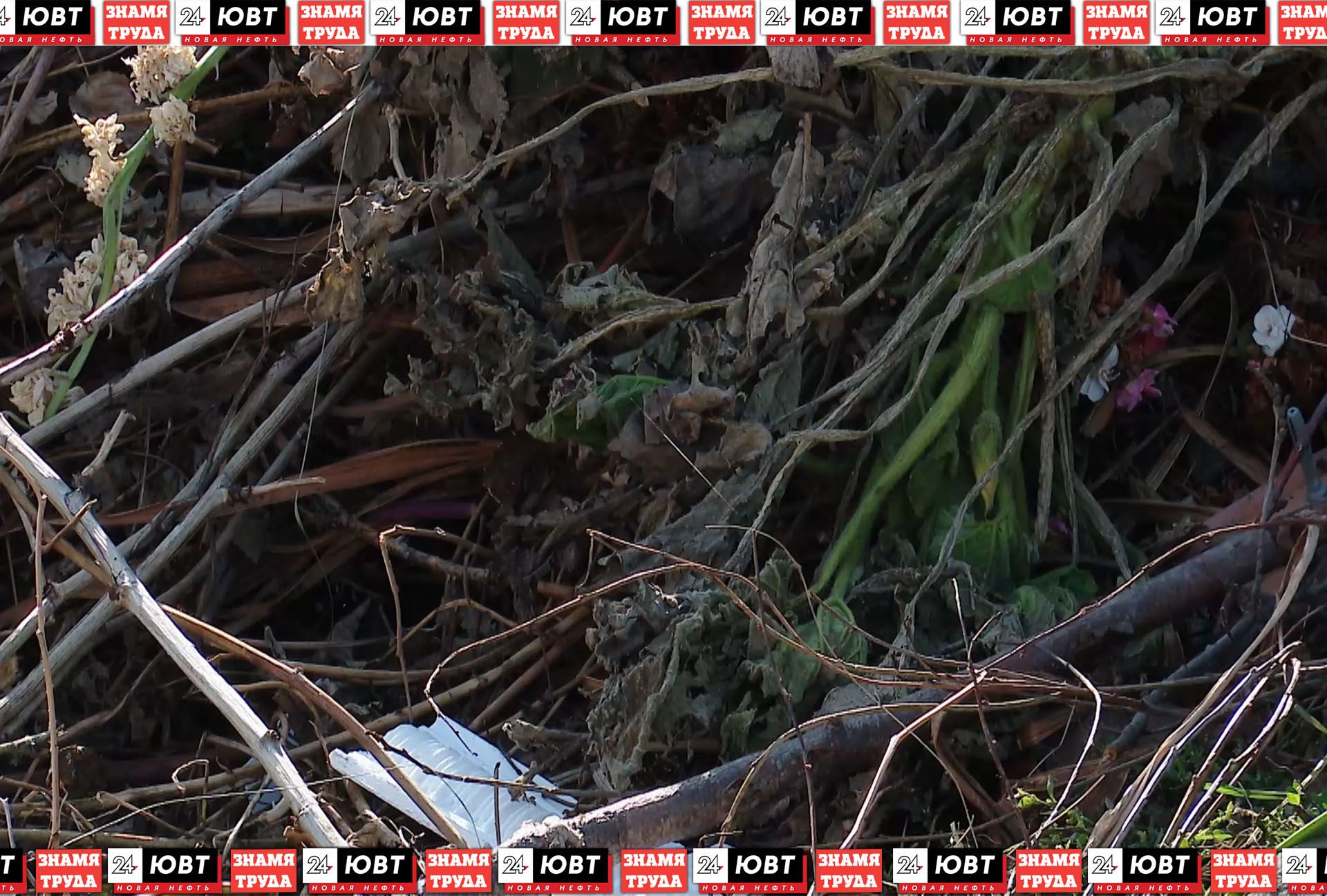 Жители Нижней Мактамы пожаловались на свалку из травы и веток