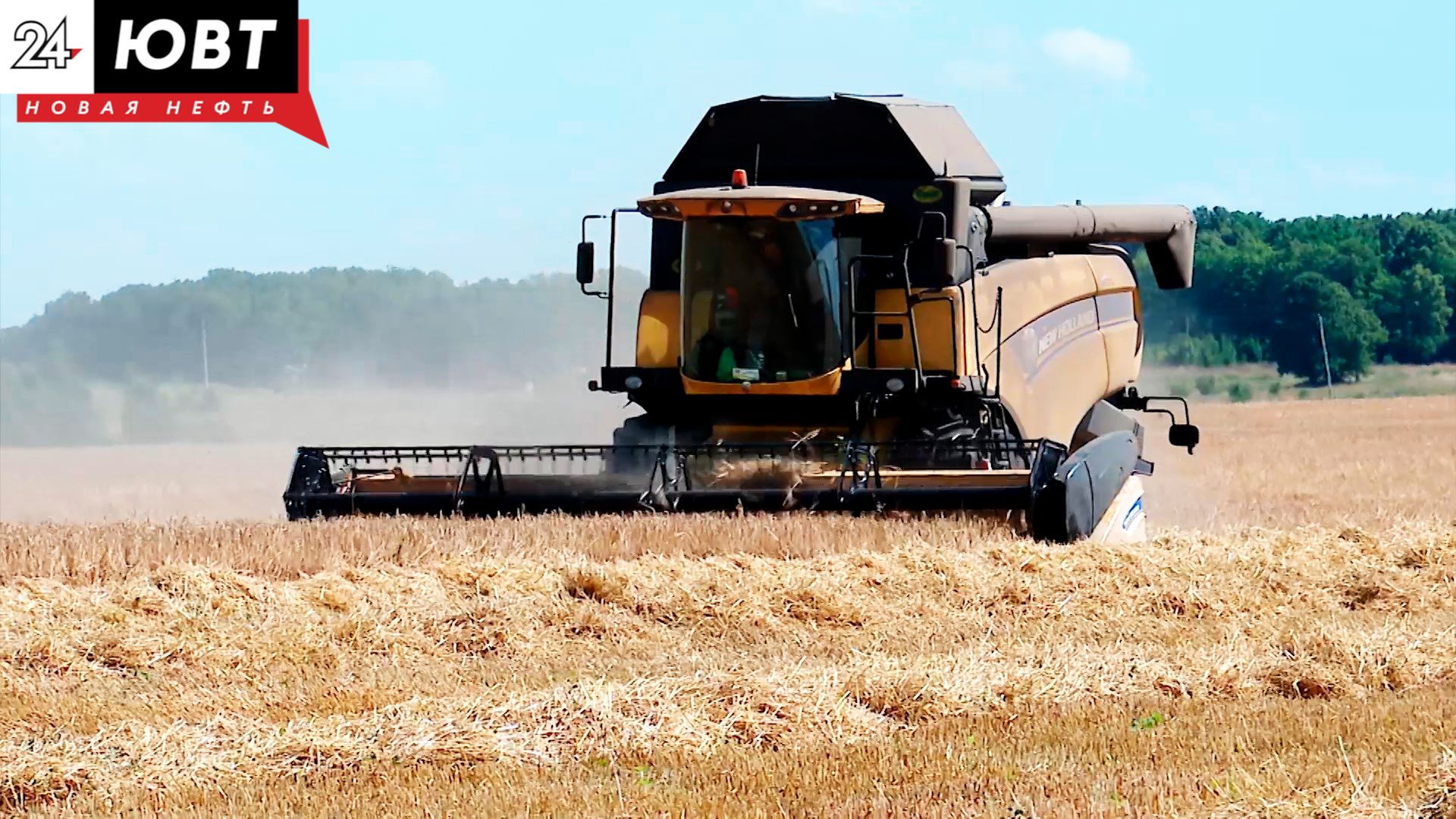 В Заинском районе завершили уборку зерновых культур