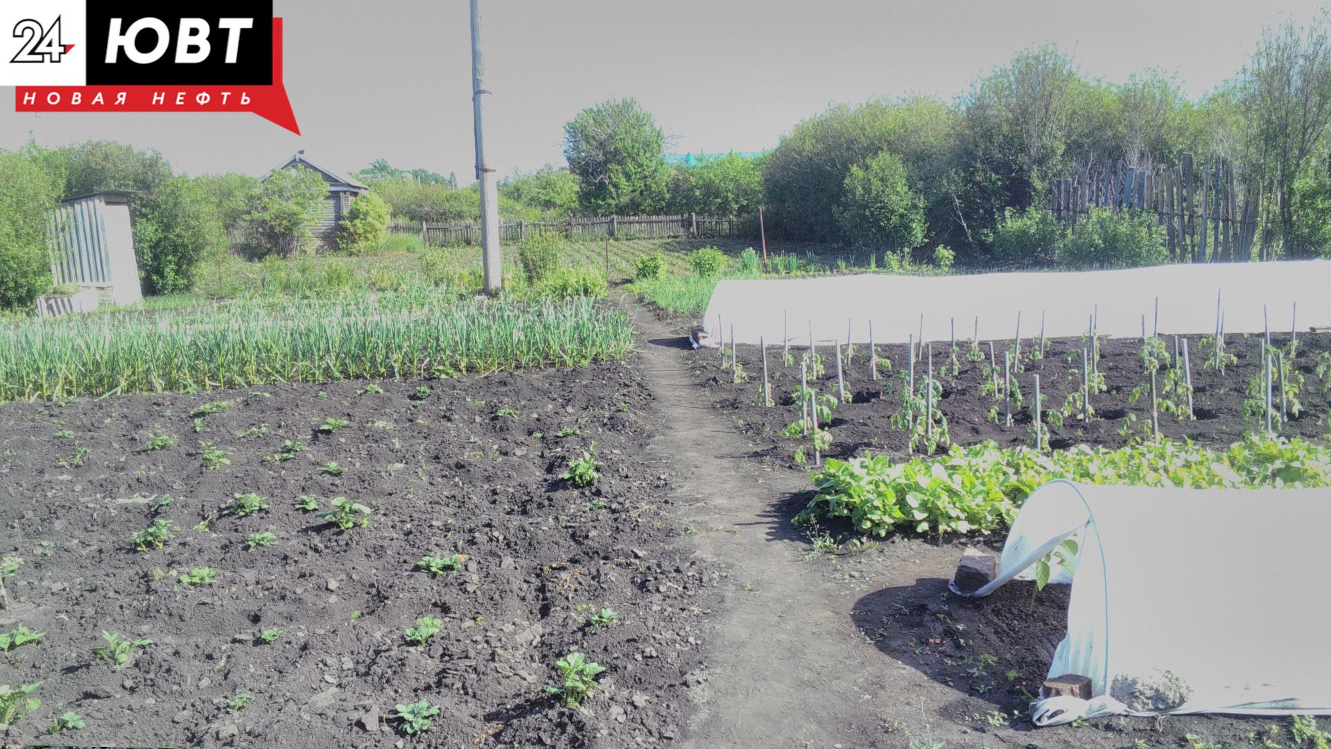 Жительница Альметьевска через суд восстановила право на земельный участок покойного мужа