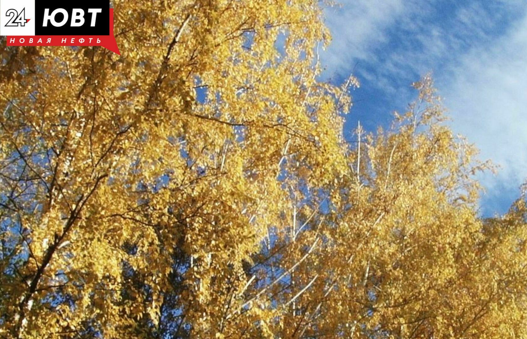 В Татарстане ожидаются первые заморозки до -2°C