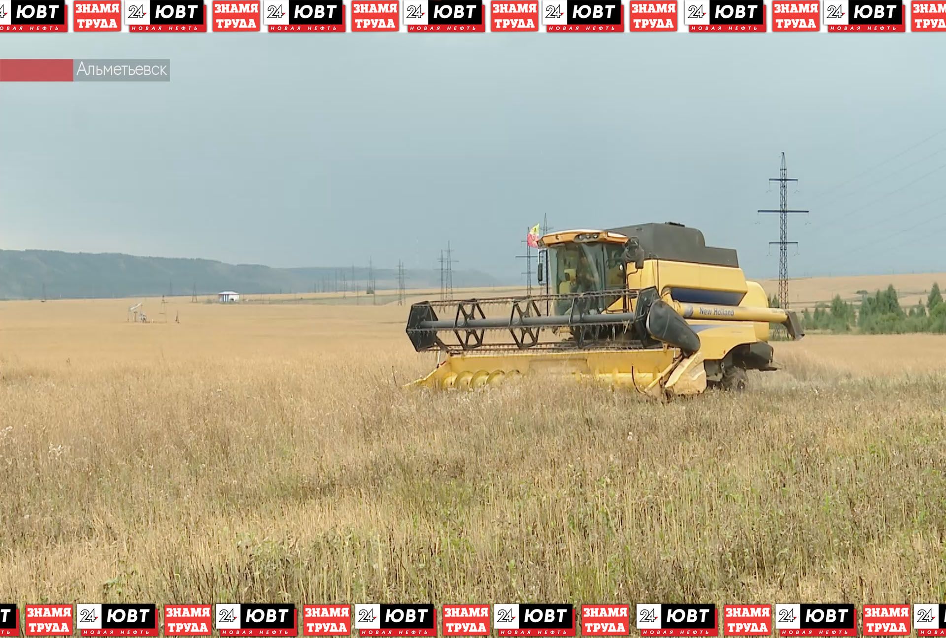 В Альметьевском районе проходит уборка ярового рапса