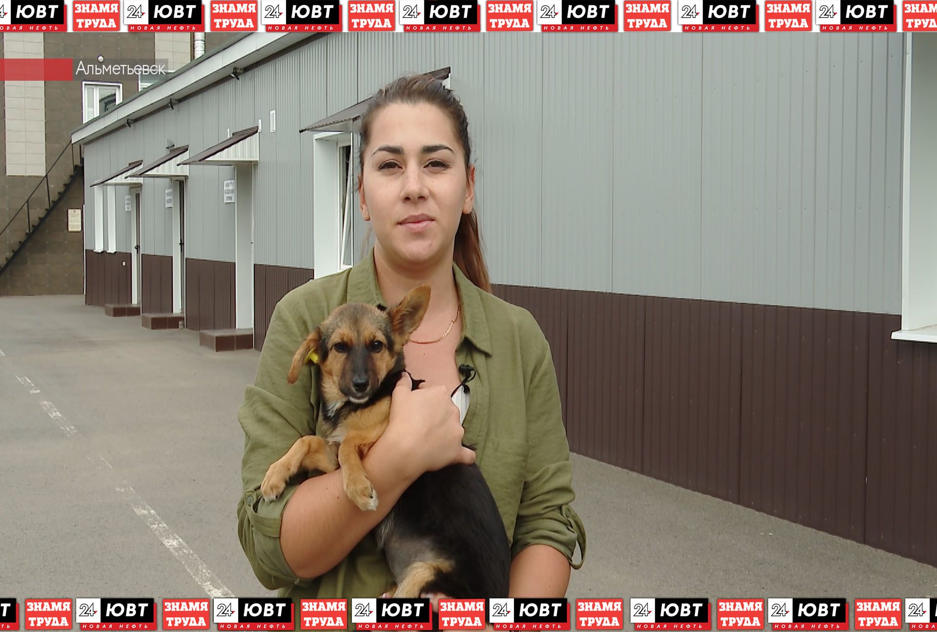 В Альметьевске продолжается чипирование собак