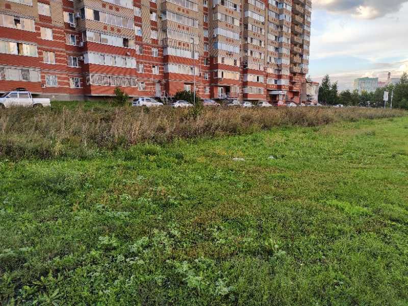 219 обращений в «Народном контроле» за месяц