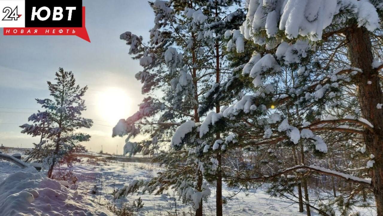 Татарстанцев ожидает до -20 градусов мороза