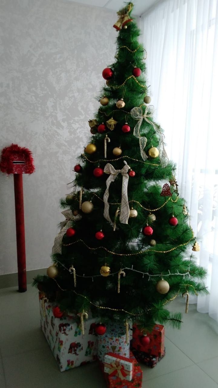 Әлмәттә махсус урыннарда яңа ел чыршысын калдырырга була