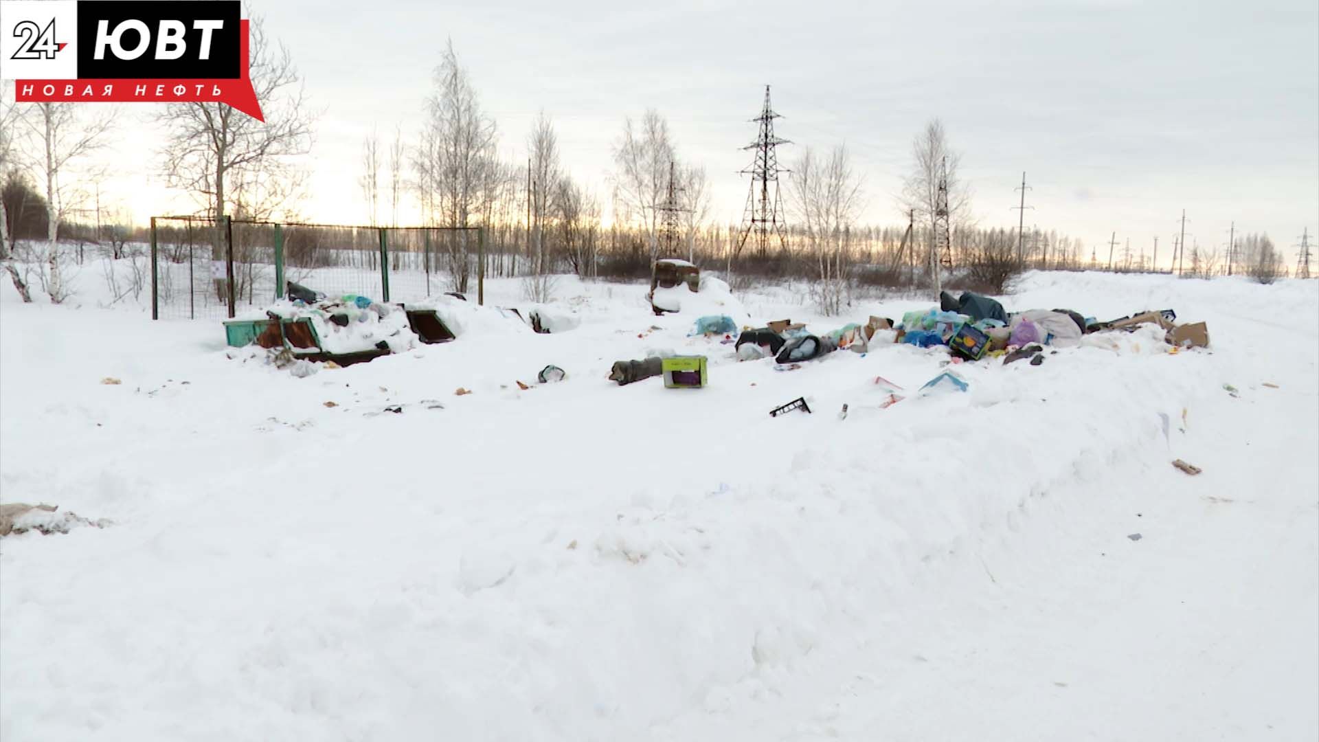 Свалки в Альметьевске нанесли ущерб природе на 765 тысяч рублей