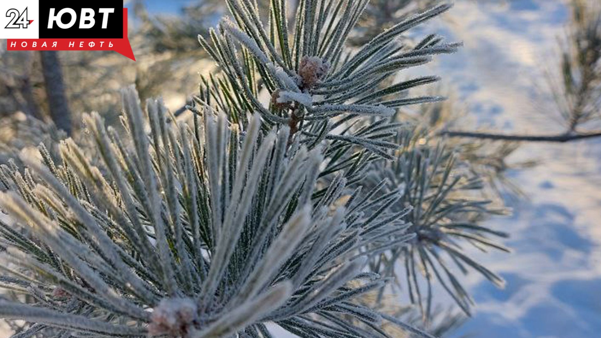 Татарстанцев предупредили о сильных морозах