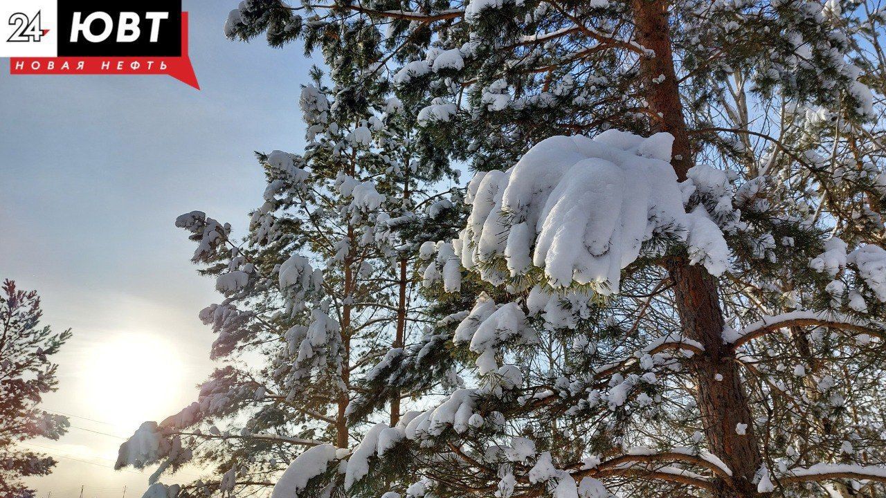 Альметьевцев приглашают на мастер-класс по созданию кормушек и на рисование коллективной картины