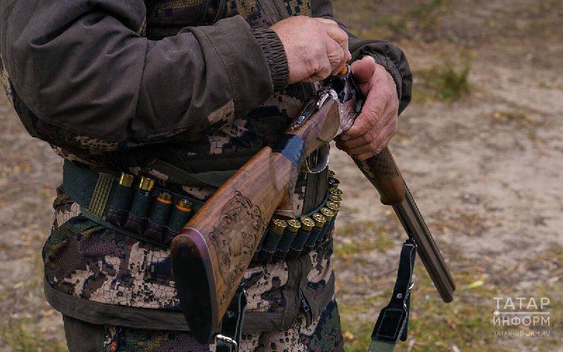 В Бавлинском районе задержали браконьеров, застреливших двух кабанов