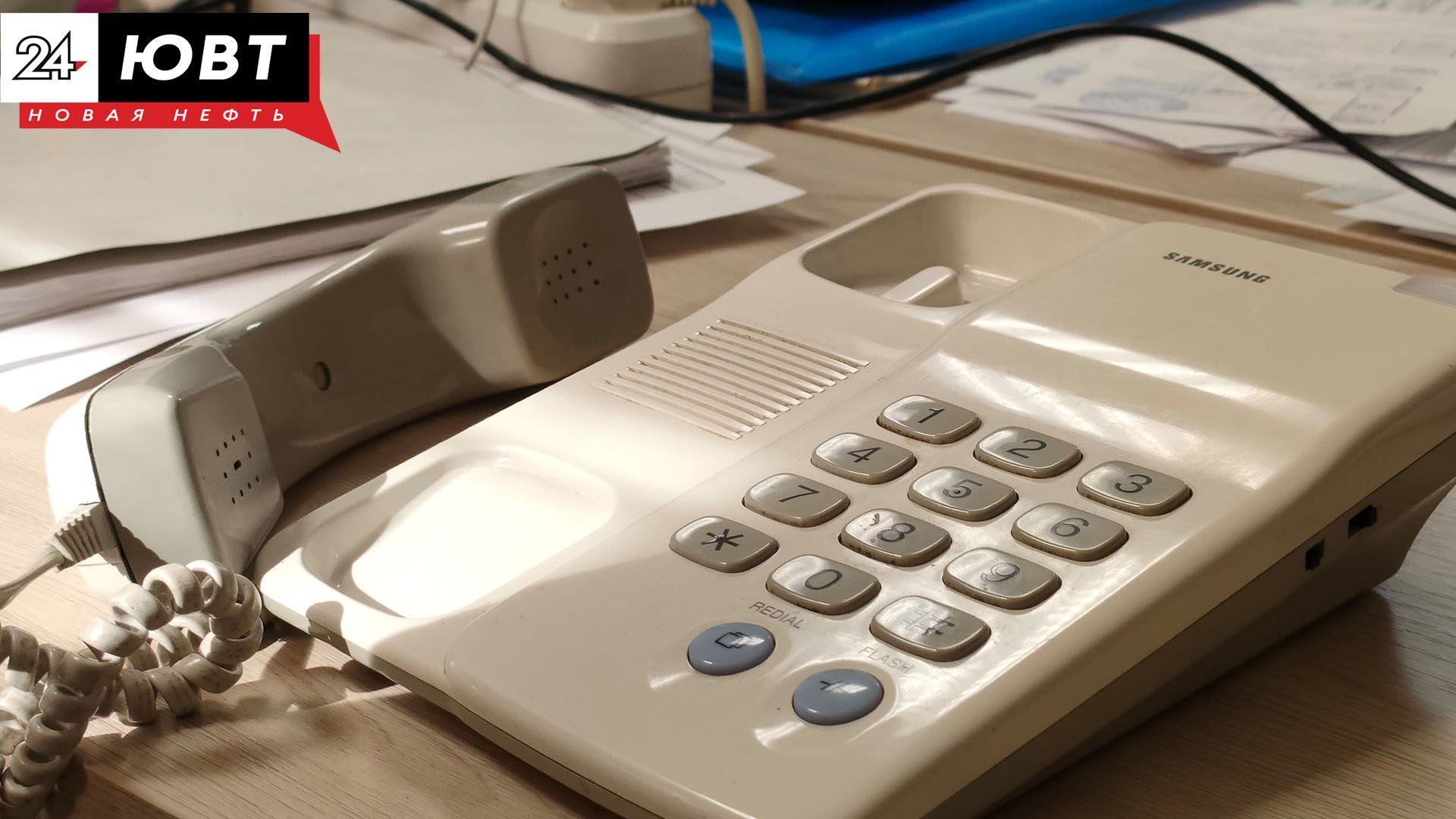 Альметьевцам рассказали, куда звонить по поводу отлова бездомных собак