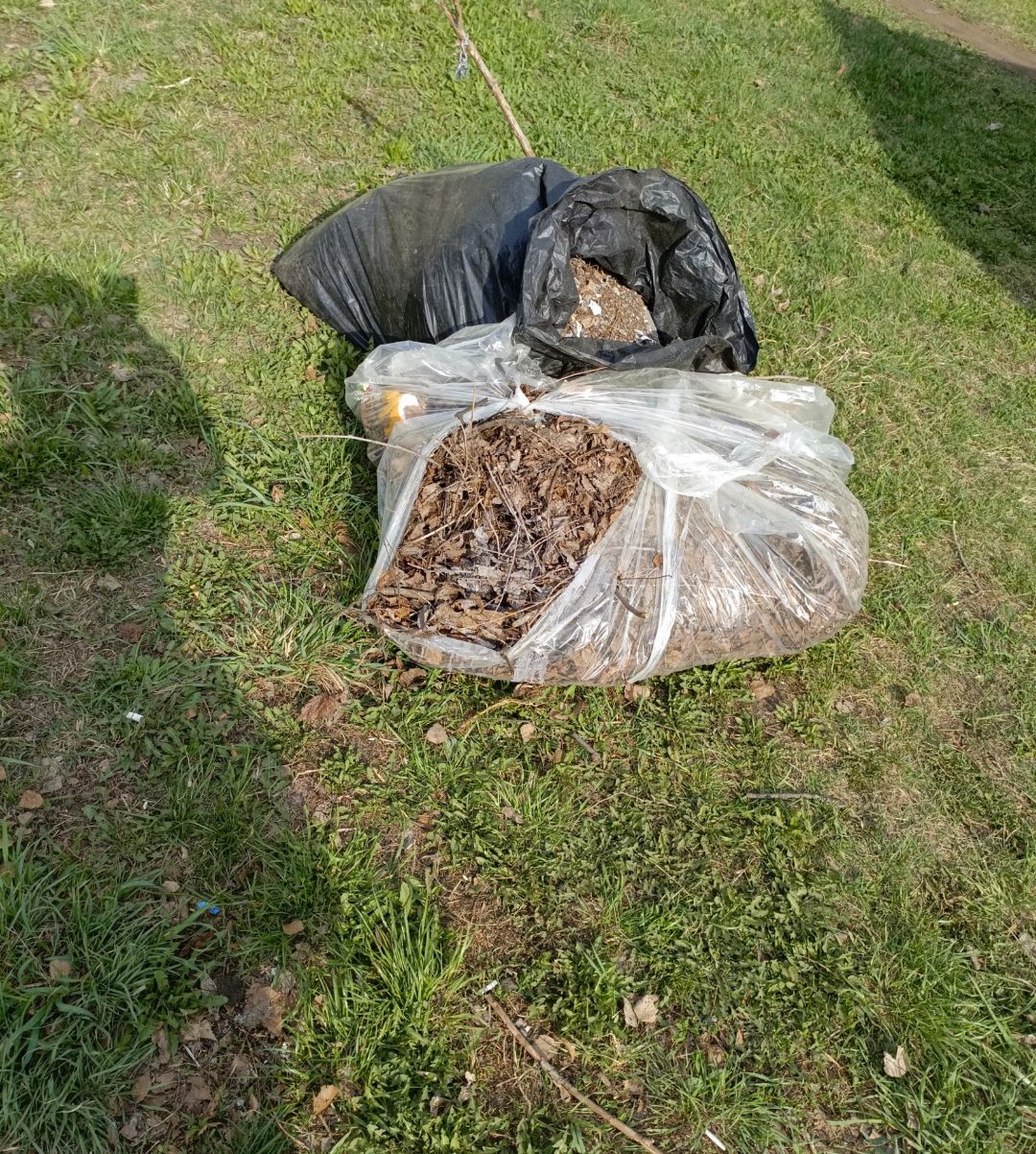 Әлмәттә санитар-экологик икеайлыкка әзерләнәләр