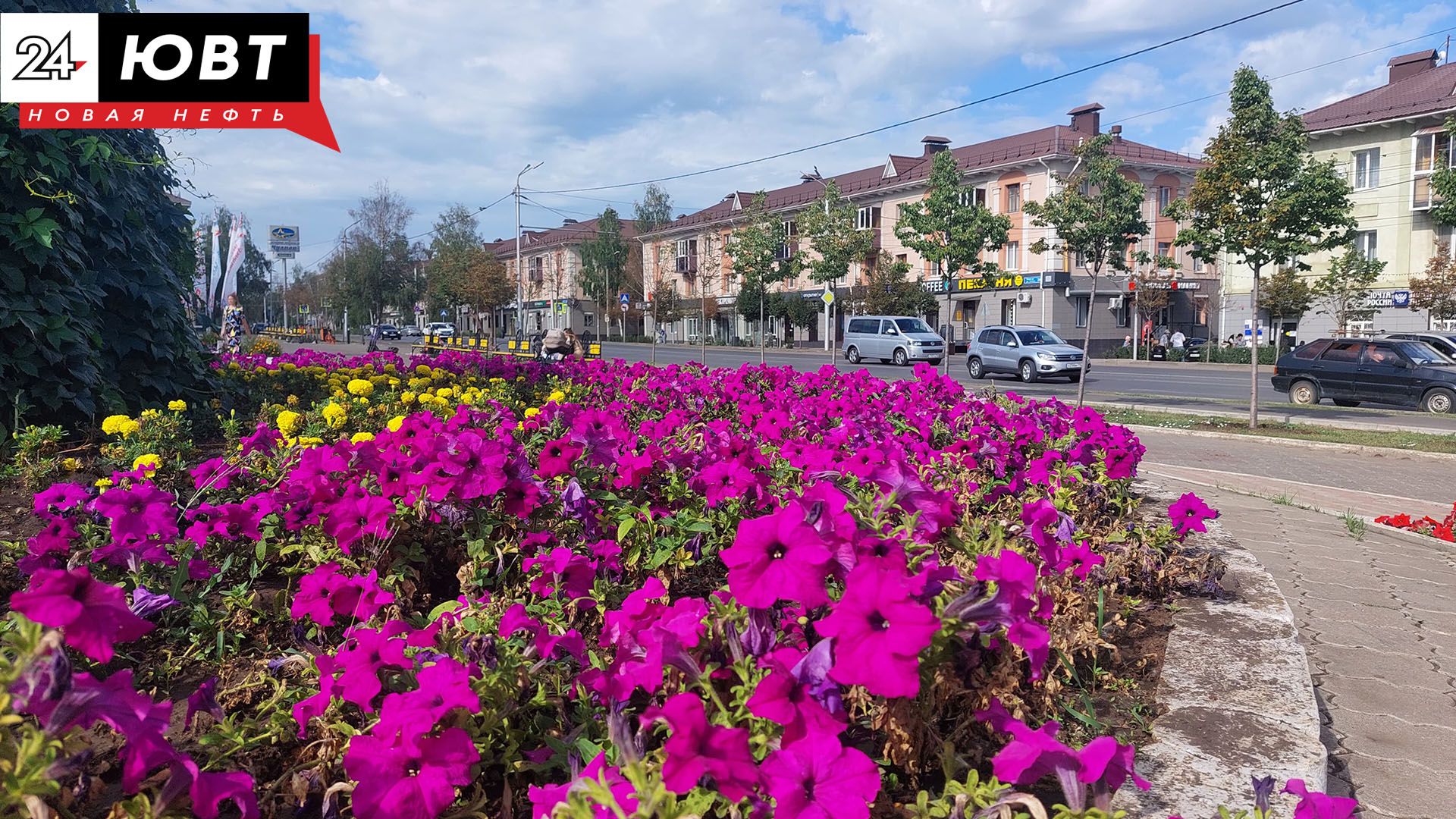 Почти 140 тыс. цветов высадят в этом году в Альметьевске