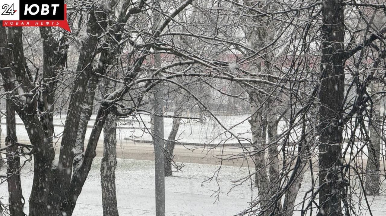 Татарстанцев предупреждают о гололеде, тумане и мокром снеге