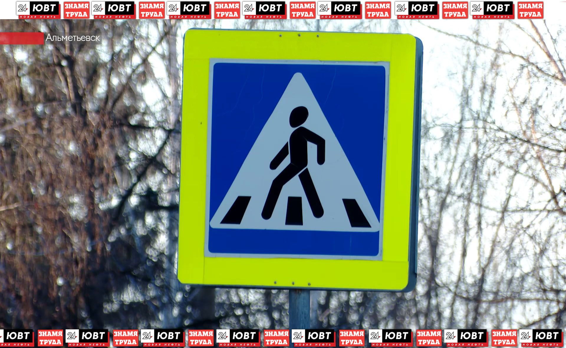 В Альметьевске оштрафовали водителя за обгон на пешеходном переходе