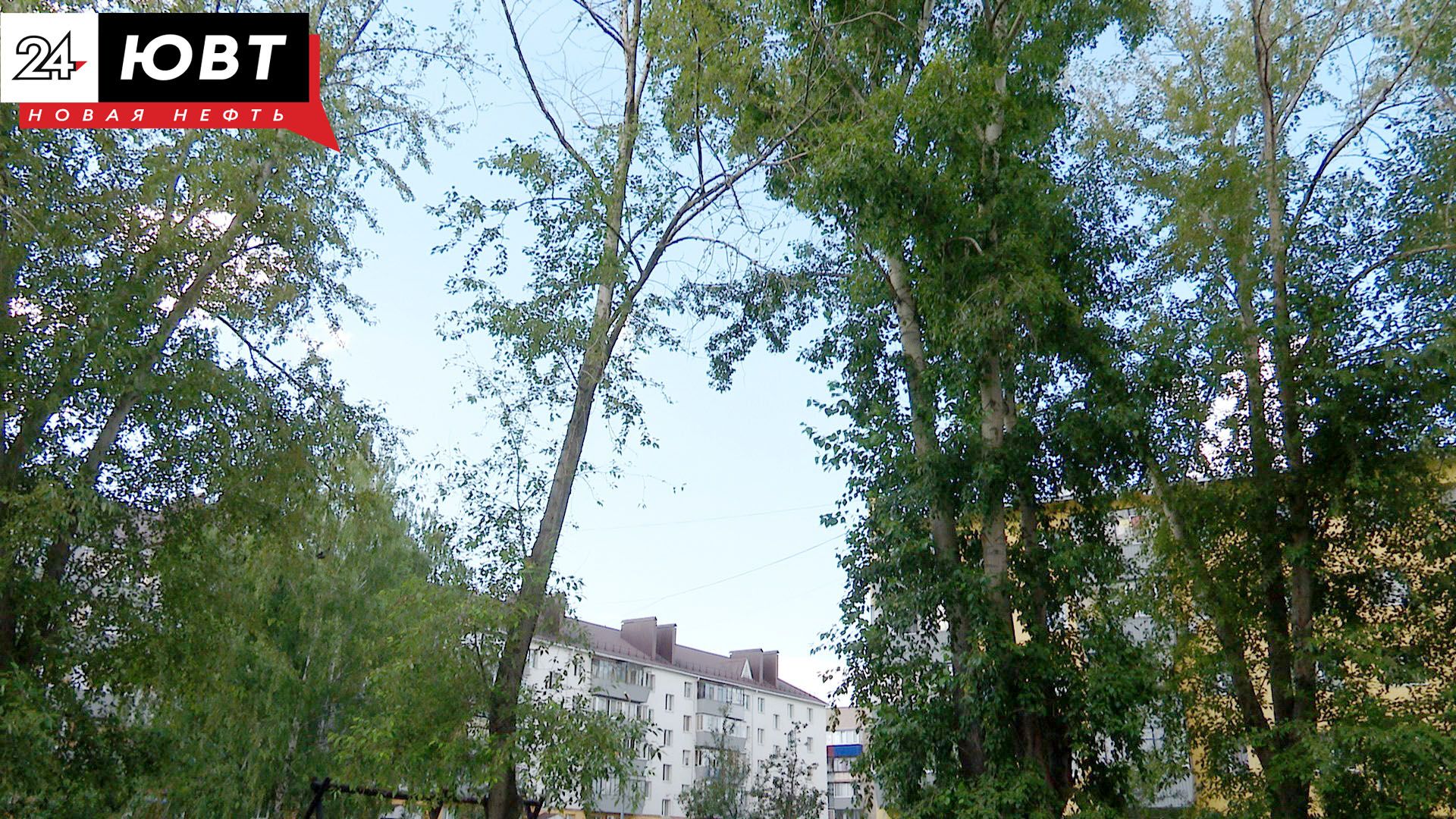 Альметьевцы могут поучаствовать в экологической акции «Сад памяти» в честь погибших в ВОВ