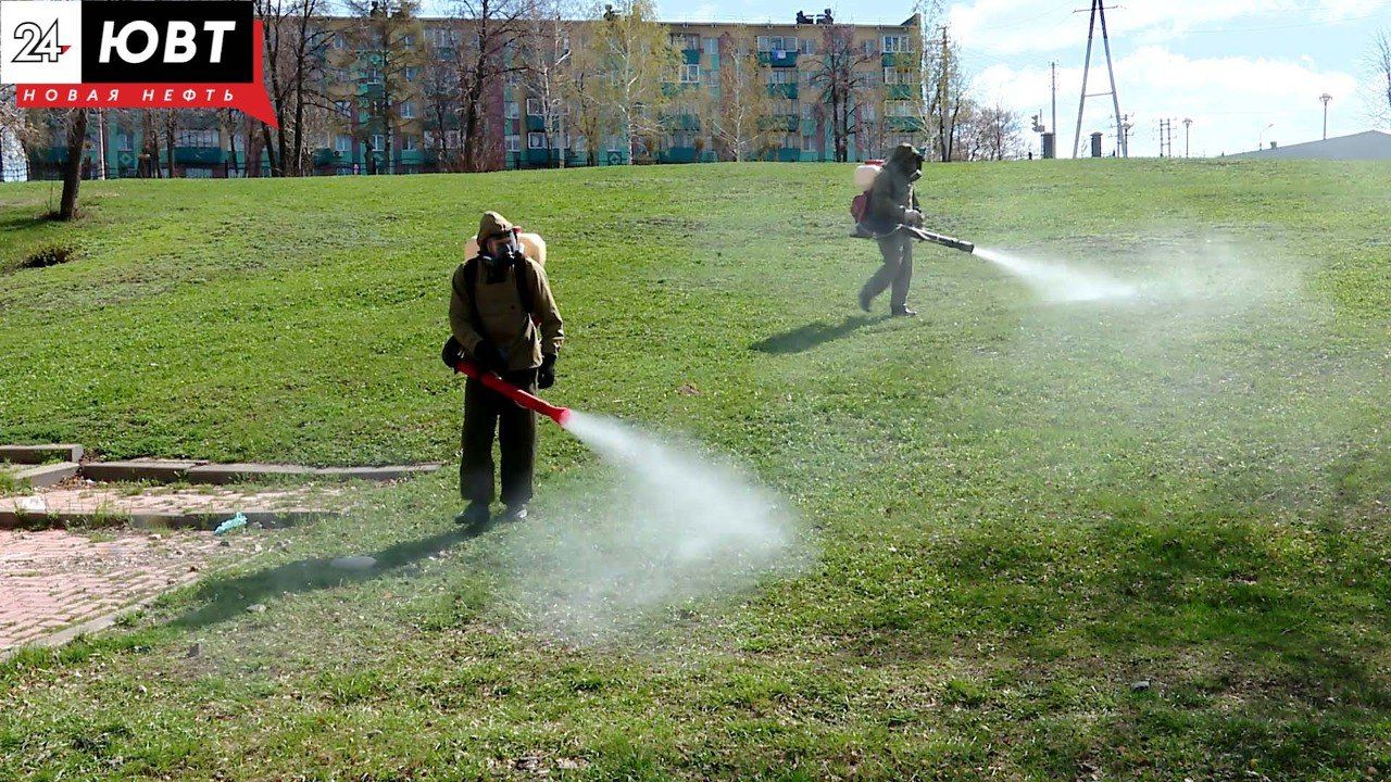 Парки Альметьевска обработают от клещей