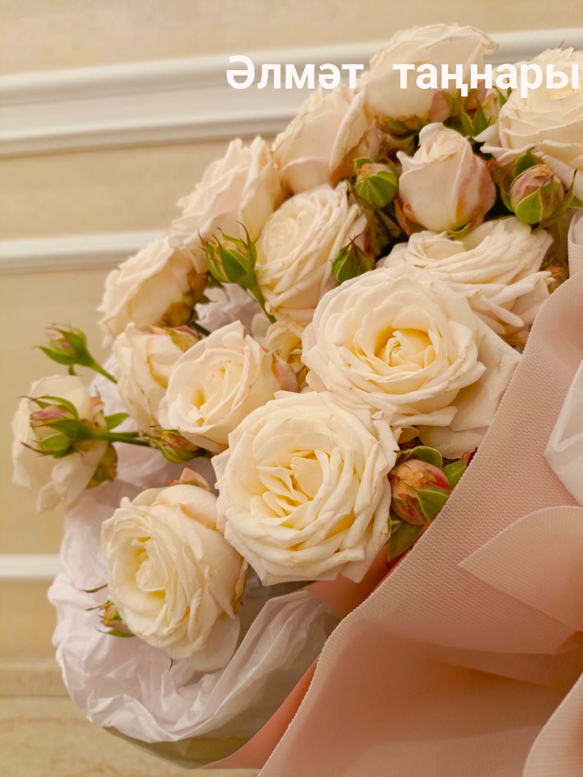 Әлмәттә тыл хезмәтчәне Екатерина Плотникова 100 яшьлек юбилеен билгеләп үтте
