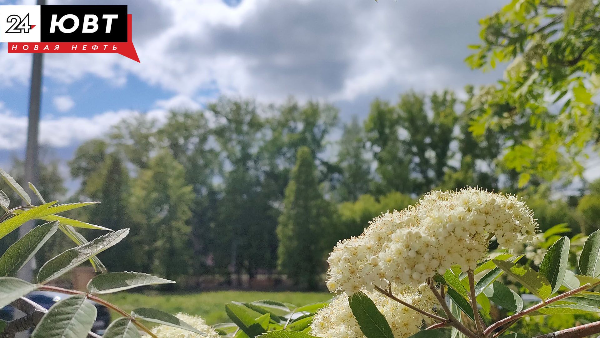 Дайджест событий в Альметьевске на неделю с 22 по 28 июня