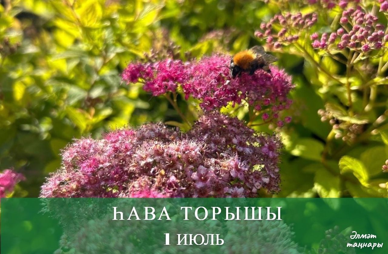 1 июльгә һава торышы