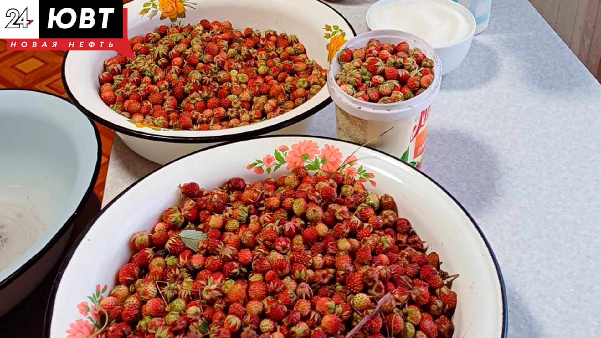 Ягодный сезон: сроки сбора, хранение и лучшие рецепты