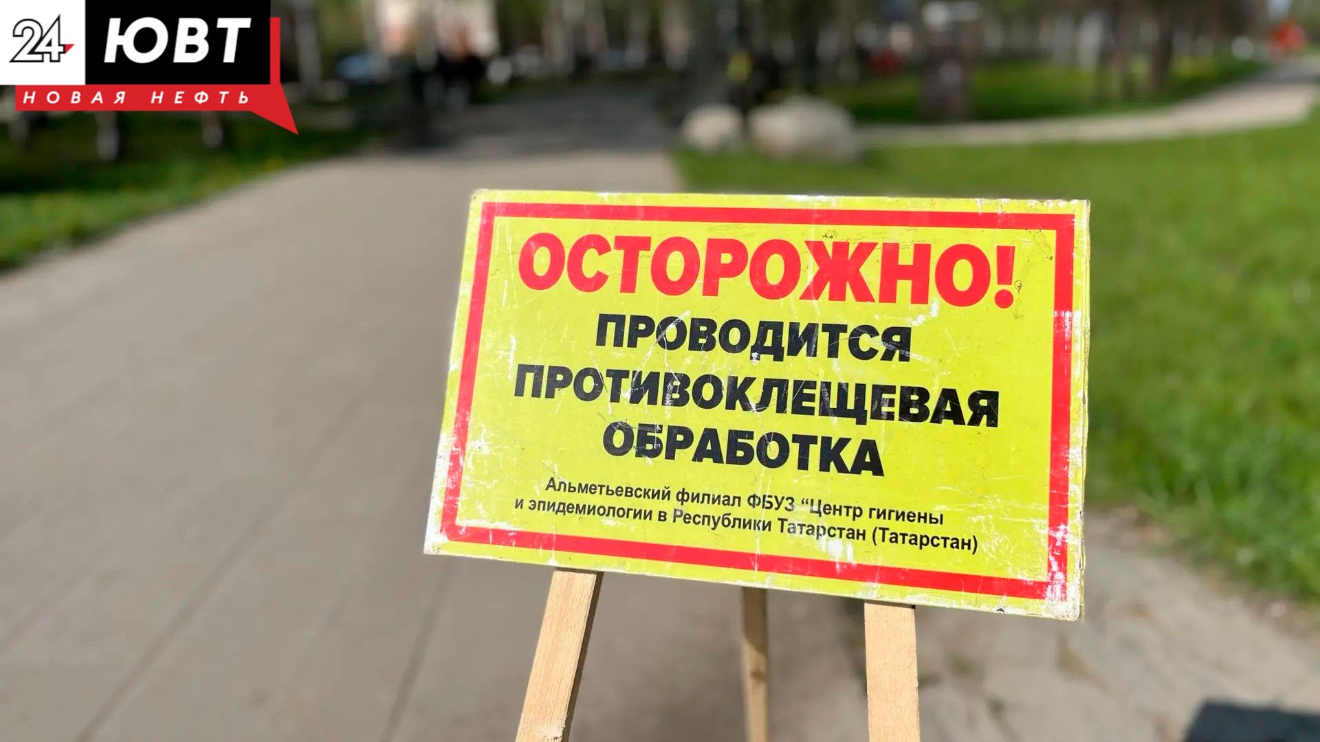 Количество пострадавших от клещей в Альметьевском районе увеличилось до 371