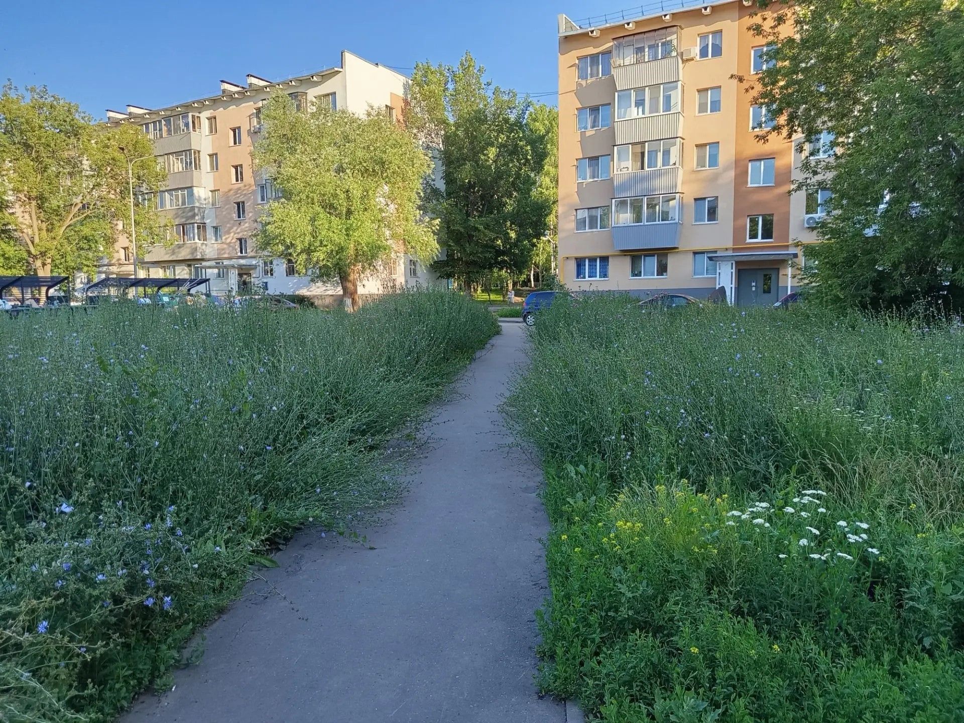 Сатирическим пером: неудачное сновидение