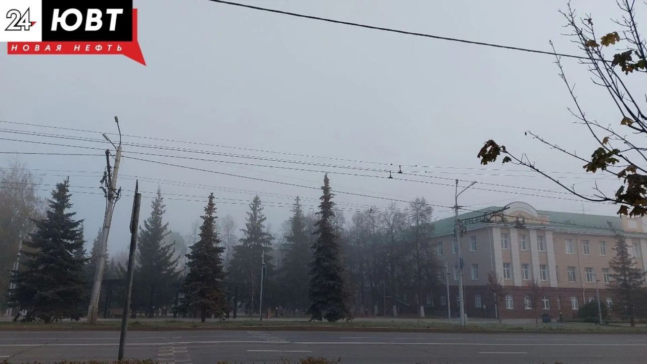 Туман ожидается ночью и утром в Татарстане