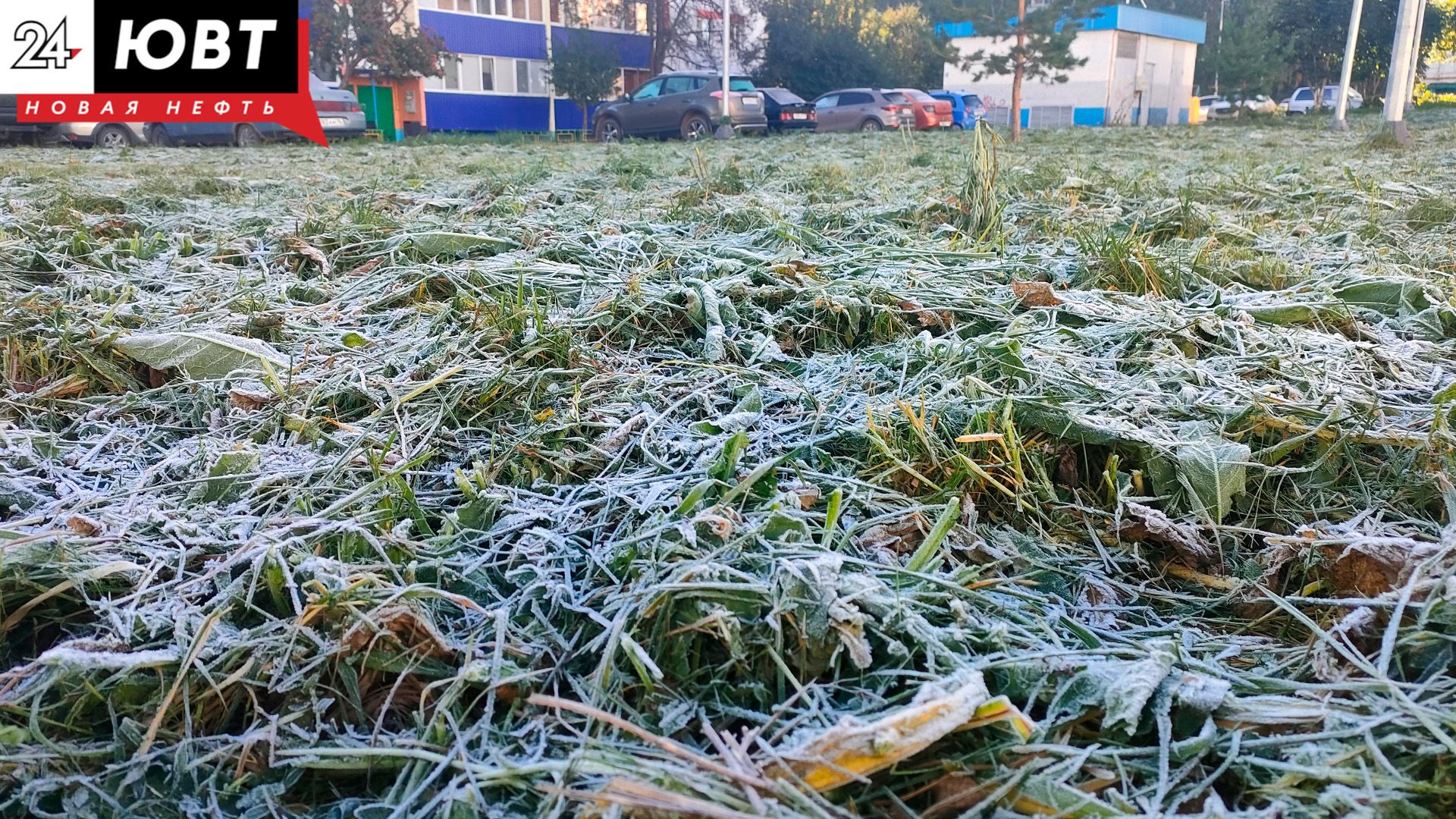Заморозки, туман и сильный ветер ожидаются в Татарстана 1 октября