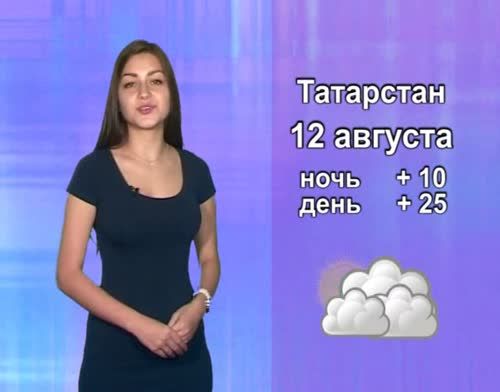 Прогноз погоды на 12 августа от телекомпании "Альметьевск ТВ"