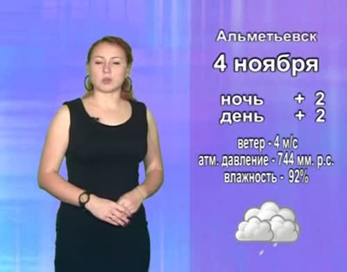 В Альметьевске 4 ноября ожидается пасмурная дождливая погода