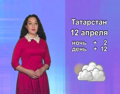 В Альметьевске установится пасмурная и дождливая погода