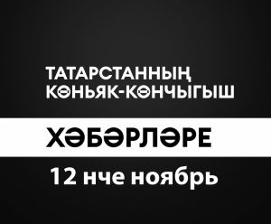 Татарстанның көньяк-көнчыгыш хәбәрләре (12.11.2024)