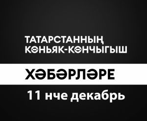 Татарстанның көньяк-көнчыгыш хәбәрләре (11.12.2024)