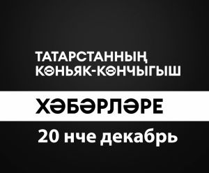 Татарстанның көньяк-көнчыгыш хәбәрләре (20.12.2024)