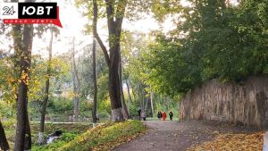 Лениногорцев предостерегают от прогулок в лесопарке