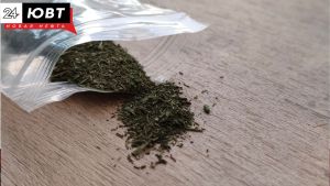 Альметьевец получил условный срок за изготовление и хранение наркотиков