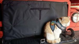 В Заинске появился кот-пожарный