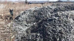 Житель Заинска заплатит 80 тысяч рублей за ущерб природе