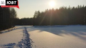 Жителям Татарстана напомнили о правилах безопасности в морозы