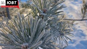 Татарстанцев предупредили о сильных морозах