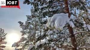 Альметьевцев приглашают на мастер-класс по созданию кормушек и на рисование коллективной картины