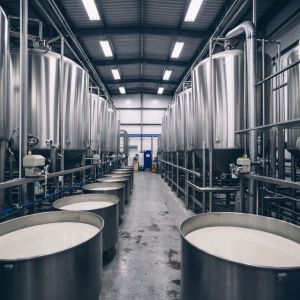 На «Бугульминском молочном комбинате» выявили фальсифицированную продукцию