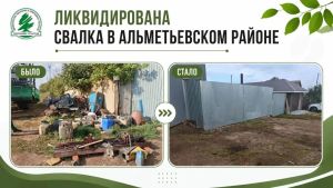 В Альметьевском районе ликвидировали 80 кв.м. свалки
