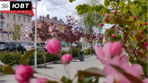 Заманчиво, но не выгодно: почему в мае не рекомендуют идти в отпуск