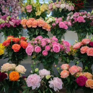 Поздравления на 8 март: для мамы, коллеги, жены, подруги, бабушки