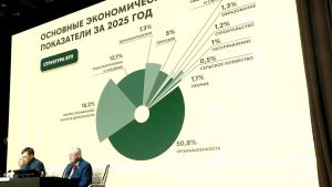 В Альметьевске прошла отчетная сессия