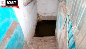 Жители Бугульмы жалуются на сырость в подвале и плесень